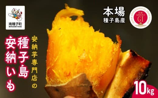 【先行予約】本場 種子島産 天然スイーツ 種子島 安納いも 10kg 詰め合わせ さつまいも さつま芋 安納芋 焼きいも 甘い ねっとり スイーツ おやつ 10キロ たねがしま 人気 南種子町 鹿児島 かごしま 【有限会社南種子衛生 種さん】