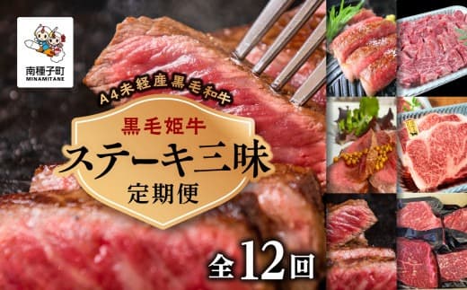 【定期便】ステーキ三昧(全12回)