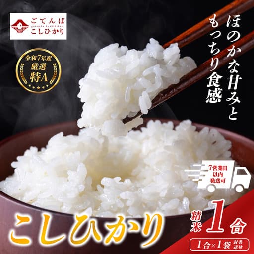 コシヒカリ 1合 令和7年産 精米 コシヒカリ