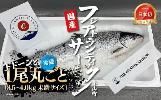 日本初 完全陸上養殖 フジアトランティックサーモン 冷蔵 1尾丸ごと( 3.5~4.0kg未満サイズ )