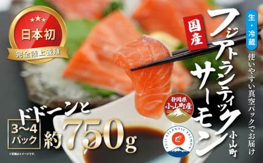 日本初 完全陸上養殖 静岡県小山町産 フジアトランティックサーモン 生 ・冷蔵 3~4P 約750g