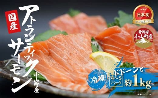 日本初 完全陸上養殖 静岡県小山町産 アトランティックサーモン 冷凍 4~5P 約1kg