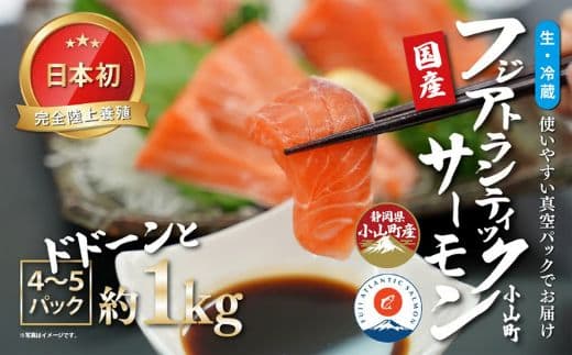 日本初 完全陸上養殖 静岡県小山町産 フジアトランティックサーモン 生 ・冷蔵 4~5P 約1kg