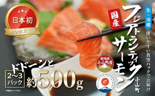 日本初 完全陸上養殖 静岡県小山町産 フジアトランティックサーモン 生 ・冷蔵 2~3P 約500g