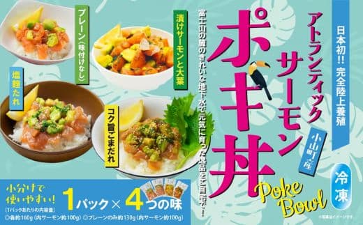 日本初 完全陸上養殖 静岡県小山町産 アトランティックサーモン 冷凍 ポキ丼( 食べ比べ セット 約160g / 約130g × 1パック × 4つの味 )