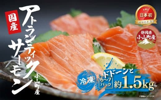 日本初 完全陸上養殖 静岡県小山町産 アトランティックサーモン 冷凍 6~7P 約1.5kg