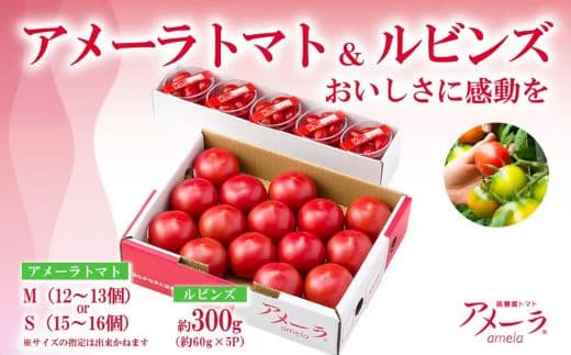 アメーラ&ルビンズ5P