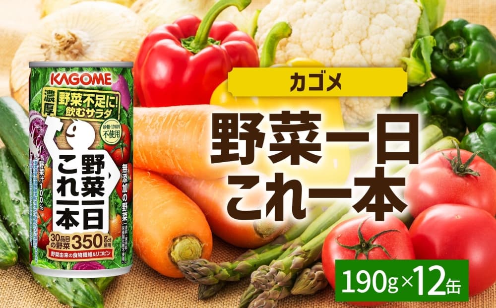野菜一日これ一本190g×12 ns038-044 【缶 野菜ジュース ミックスジュース リコピン βカロテン KAGOME】(管理コード:ns038-044)