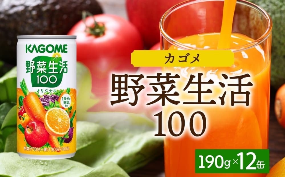 野菜生活100オリジナル190g×12 ns038-045 【缶 野菜ジュース 果実 ミックスジュース オリジナル フルーティー β-カロテン KAGOME】(管理コード:ns038-045)