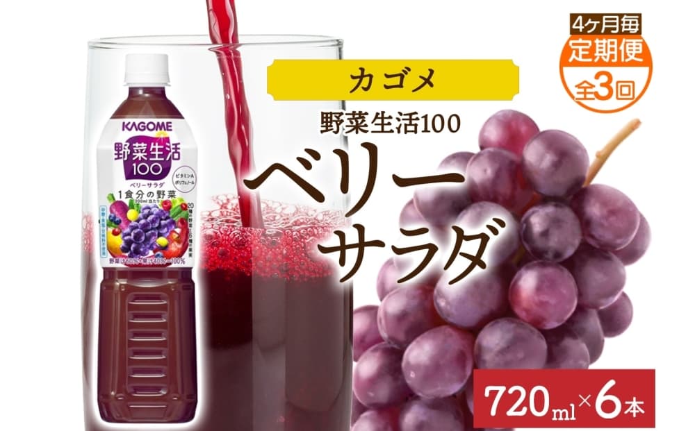 【定期便】4ヵ月毎全3回野菜生活100 ベリーサラダ 720mlPET ns038-074【ペットボトル 野菜 果実 ベリー ミックスジュース β-カロテン フルーティー 紫野菜 KAGOME】(管理コード: ns038-074)