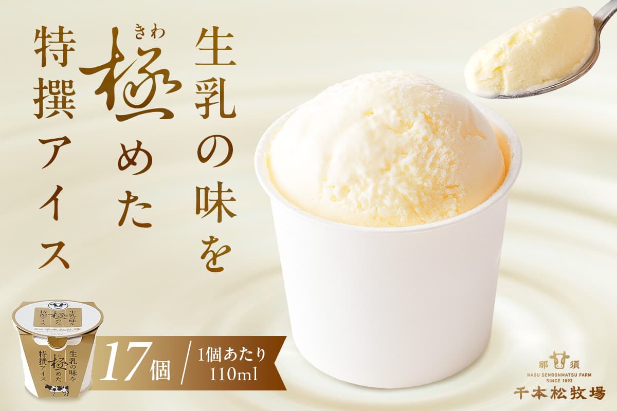 生乳の味を極めた特撰アイス17個セット 【千本松牧場】 ns025-011-17 【お菓子 スイーツ 詰め合わせ アイスクリーム 牛乳 ギフト】 (管理コード:ns025-011-17)