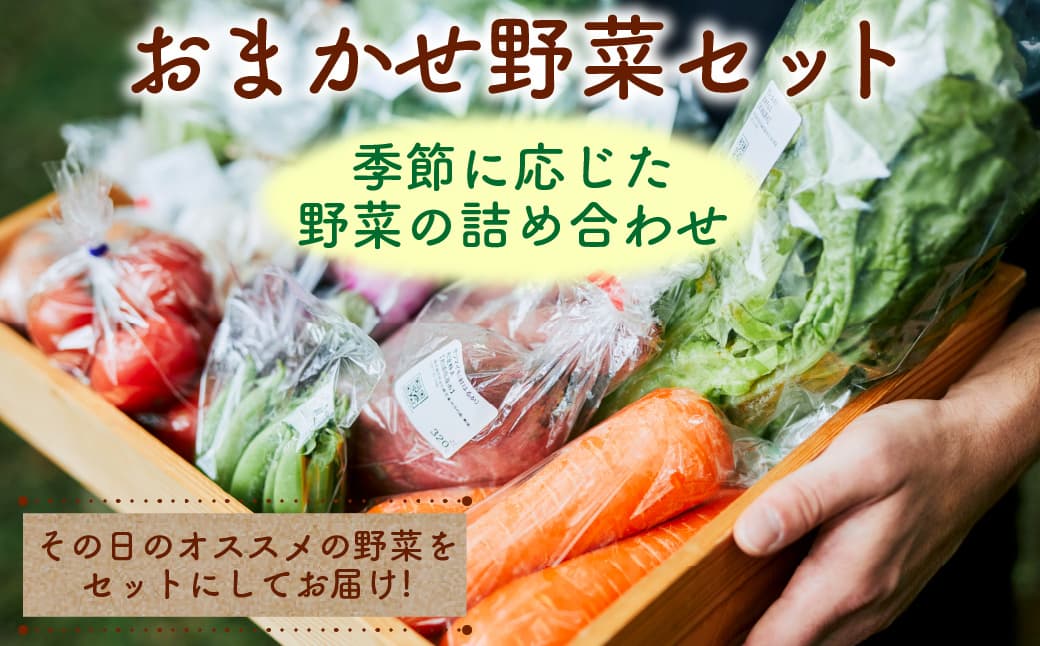 おまかせ野菜セット ns087-002 【新鮮 野菜 産直 詰め合わせ】 (管理コード:ns087-002)