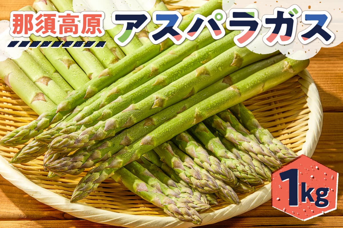 那須高原アスパラガス ns092-001 【野菜 新鮮 朝採り 旬 とれたて お取り寄せ 産地直送 青果】 (管理コード:ns092-001)
