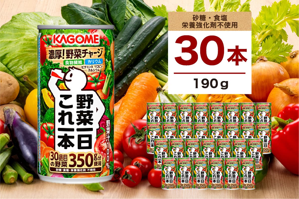 カゴメ 野菜一日これ一本 190g 30本 ns111-014-30【KAGOME ジュース 野菜 飲料 トマト これ一本】(管理コード:ns111-014-30)