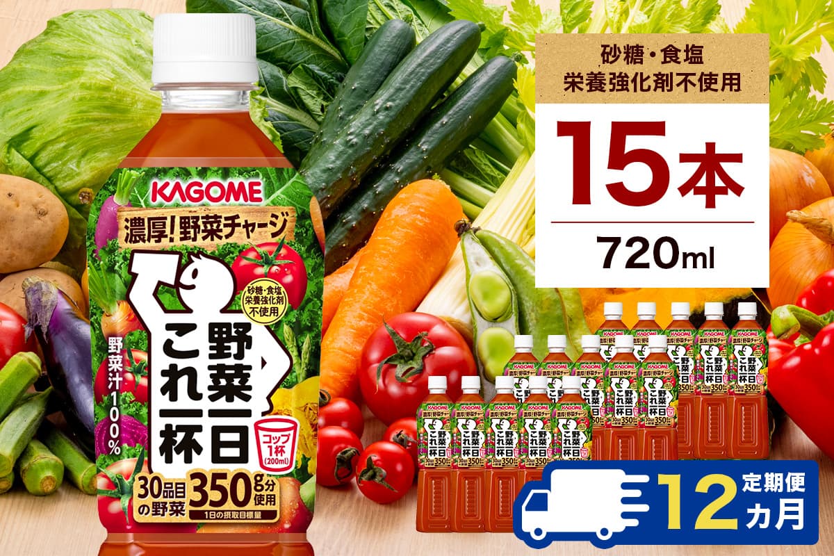 【定期便12ヵ月】カゴメ 野菜一日これ一杯 720ml 15本 ns111-031 【KAGOME ジュース 野菜 飲料 トマト リコピン 健康 】(管理コード:ns111-031)