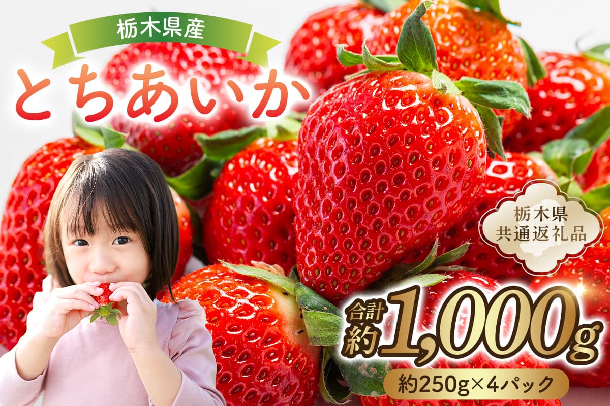 栃木県産 とちあいか約250g×4パック【栃木県共通返礼品】 ns120-001 【果物 いちご とちあいか オリジナル品種 甘味 香り 国産 ブランド フルーツ】 (管理コード:ns120-001)