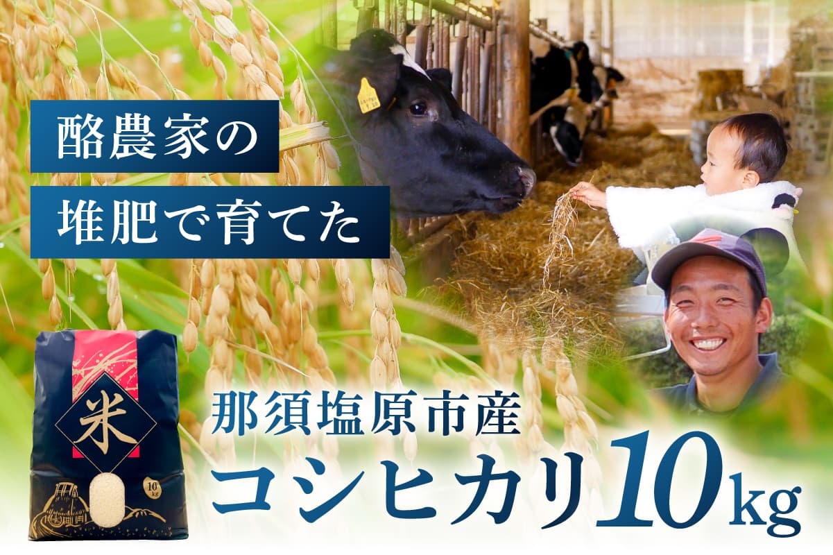 【令和7年産米】那須山麓ミネラル米 3kg ns130-002 【お米 精米 ごはん 国産 ミネラル米 一等米 お弁当 おにぎり】 (管理コード:ns130-002)