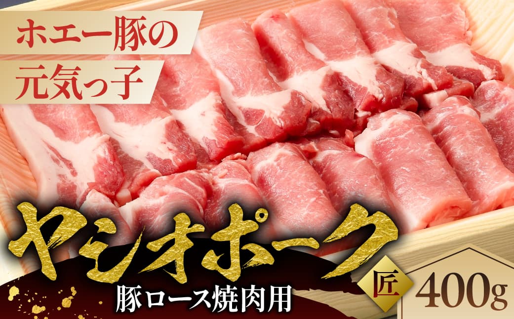 ヤシオポーク匠豚ロース焼き肉用400g ns145-005 【肉 豚肉 ロース 焼肉 国産 BBQ】 (管理コード:ns145-005)
