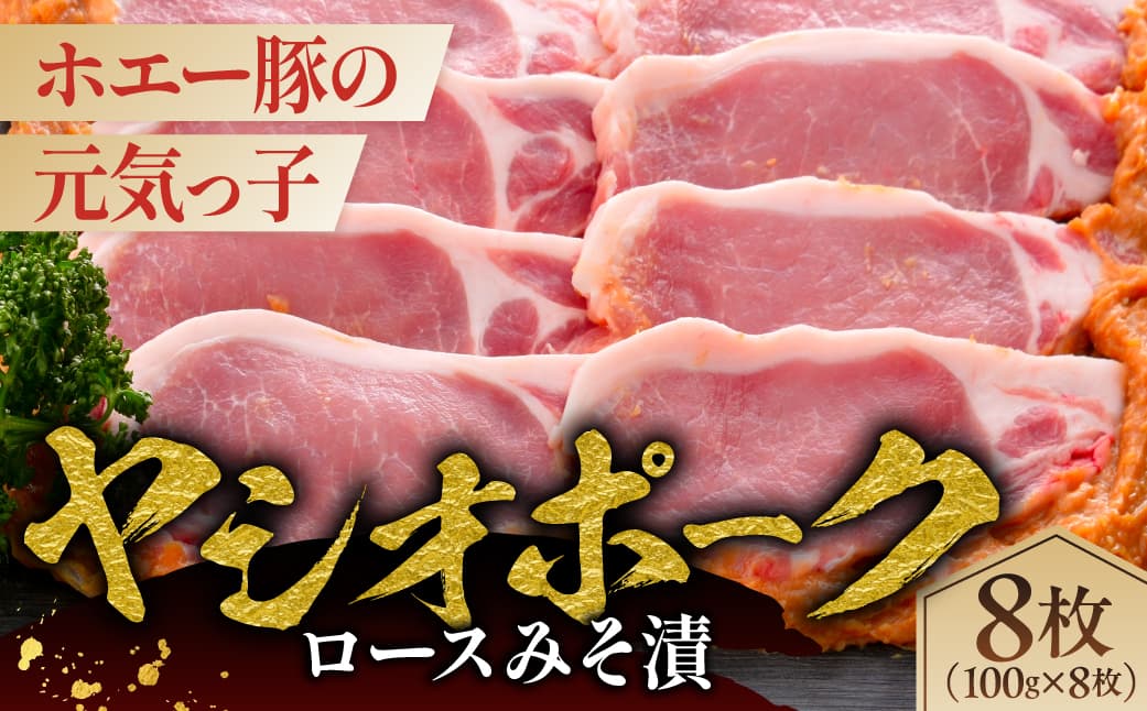 ヤシオポークロースみそ漬8枚 ns145-009 【肉 豚肉 豚ロース 切り身 味噌漬け 国産 ヤシオポーク】 (管理コード:ns145-009)