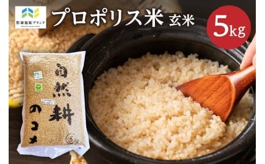 【那須塩原ブランド認定品】プロポリス米(1等級コシヒカリ 玄米5kg) 【令和7年度産米】ns063-001 【お米 こしひかり ごはん 特産品 玄米】 (管理コード:ns063-001)