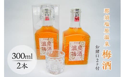 那須塩原温泉梅酒(お猪口2ヶ付)【 お酒 栃木県 那須塩原市 】 ns049-010 (管理コード:ns049-010)