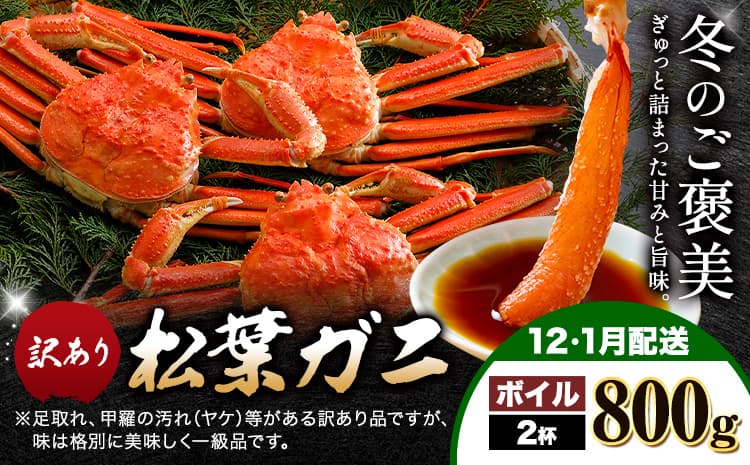 カニ 松葉ガニ 訳あり 400g×2杯 ボイル《12月上旬~1月末頃出荷》SOO合同会社 鳥取県 八頭町 送料無料 蟹 かに 姿 鍋 ズワイガニ ズワイ蟹 ボイル 松葉ガニ 訳アリ---yazu_soo_160_400g---