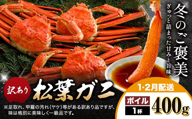 カニ 松葉ガニ 訳あり 400g×1杯 ボイル《1月・2月出荷》SOO合同会社 鳥取県 八頭町 送料無料 蟹 かに 姿 鍋 ズワイガニ ズワイ蟹 ボイル 松葉ガニ 訳アリ---yazu_soo_164_400g---