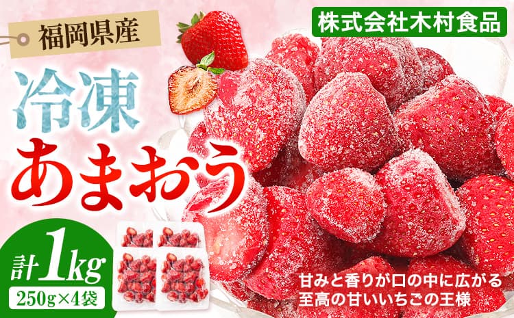 福岡県産 冷凍あまおう 小分けパック 1kg(250g×4袋) 株式会社木村食品《30日以内に出荷予定(土日祝除く)》福岡県 鞍手町 冷凍あまおう【果物・フルーツ特集】 いちご 冷凍フルーツ 果物 送料無料---skr_fkmramo_30d_r7_11500_1kg--- (管理コード:skr_fkmramo_30d_r7_11500_1kg)