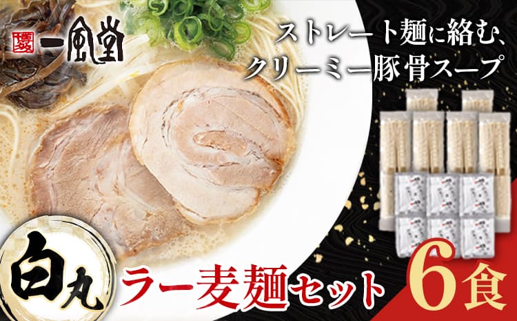 ラーメン 一風堂 白丸 ラー麦麺 セット 6食 地域商社ふるさぽ《90日以内に出荷予定(土日祝除く)》福岡県 鞍手町 ラーメン とんこつ 豚骨スープ 豚骨ラーメン ラー麦 麺---skr_fsipdr_90d_26_10000_6s---