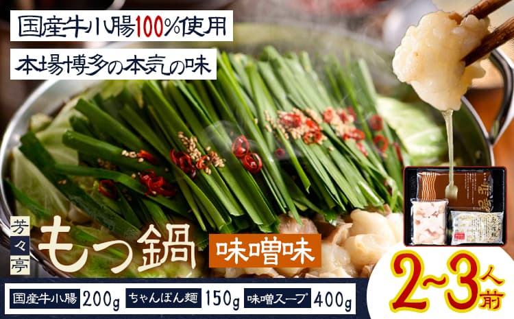もつ鍋 味噌味 セット ちゃんぽん麵 芳々亭 2~3人前 地域商社ふるさぽ《90日以内に出荷予定(土日祝除く)》福岡県 鞍手町 もつ 鍋 牛モツ 味噌 国産牛もつ100%使用 ラー麦---skr_ffsystim_90d_26_16000_ms---