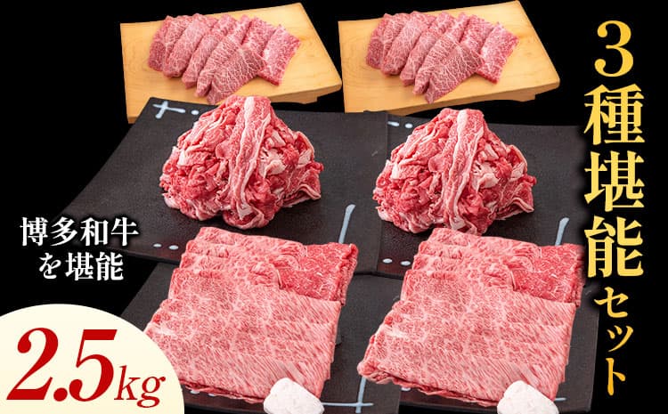 博多和牛 3種堪能セット 2.5kg 計6パック 《30日以内に出荷予定(土日祝除く)》---skr_fmksansh_30d_26_50000_2500g--- (管理コード:skr_fmksansh_30d_26_50000_2500g)
