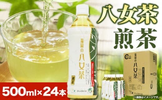 八女茶 煎茶ペットボトル 500ml×24本 株式会社親和園《30日以内に出荷予定(土日祝除く)》 お茶 緑茶 茶 八女茶 ペットボトル---skr_snwympet_30d_23_13500_24i--- (管理コード:skr_snwympet_30d_23_13500_24i)