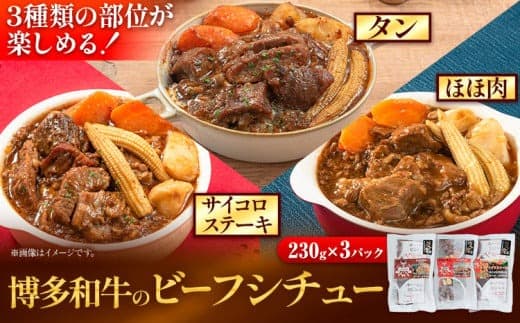 博多和牛 の ビーフシチュー 230g × 3種類 ( サイコロステーキ タン ほほ肉 ) 清柳食産《30日以内に出荷予定(土日祝除く)》九州産 牛 肉 牛肉 和牛 シチュー---skr_fbeafsty_30d_13200_690g--- (管理コード:skr_fbeafsty_30d_13200_690g)