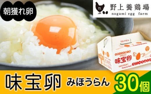 朝獲れ卵 味宝卵 (30個) 卵 Lサイズ 鶏卵《90日以内に出荷予定(土日祝除く)》---iskr_ngmmihoran_90d_23_8200_30p--- (管理コード:iskr_ngmmihoran_90d_23_8200_30p)