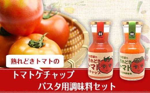 トマトケチャップとパスタ用調味料セット 花田農園《30日以内に出荷予定(土日祝除く)》---skr_hndttkc_30d_22_12000_940g--- (管理コード:skr_hndttkc_30d_22_12000_940g)