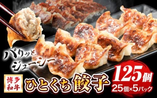 餃子 一口餃子 ひとくち 博多和牛 冷凍 25個 × 5パック 125個 清柳食産《30日以内に順次出荷(土日祝除く)》九州産 牛 肉 送料無料 冷凍 鞍手郡 鞍手町 牛肉 肉料理 和牛 博多和牛 揚げ餃子 水餃子---skr_fsrhtktgz_30d_23_13200_125i--- (管理コード:skr_fsrhtktgz_30d_23_13200_125i)