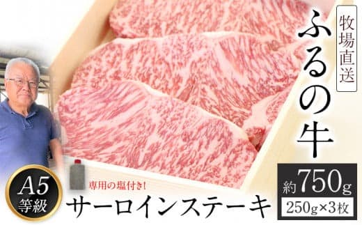 ふるの牛(黒毛和牛)特選サーロインステーキ 750g(250g×3枚) ゲランド塩付き A5《30日以内に出荷予定(土日祝除く)》---skr_ffrnsirl_30d_22_50000_750g--- (管理コード:skr_ffrnsirl_30d_22_50000_750g)