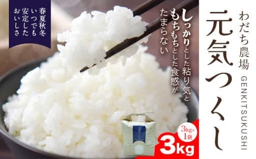 元気つくし 3kg 1袋3kg入り わだち農場《30日以内に出荷予定(土日祝除く)》福岡県 鞍手郡 鞍手町 米 コメ 元気つくし 袋 ちらし寿司 こめ---skr_ysmsgtk_30d_25_10500_3kg--- (管理コード:skr_ysmsgtk_30d_25_10500_3kg)