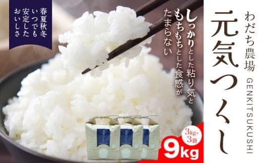 【令和7年度産】元気つくし 9kg 1袋3kg入り わだち農場《30日以内に出荷予定(土日祝除く)》福岡県 鞍手郡 鞍手町 米 コメ 元気つくし 袋 ちらし寿司 こめ---skr_ysmsgtk_30d_25_24000_9kg--- (管理コード:skr_ysmsgtk_30d_25_24000_9kg)