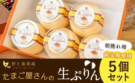 たまご屋さんの生ぷりん5個セット (150ml×5個) 野上養鶏場《60日以内に出荷予定(土日祝除く)》味宝卵使用 プリン---skr_cngmprn_60d_22_10800_5p--- (管理コード:skr_cngmprn_60d_22_10800_5p)