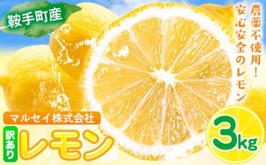 レモン 訳あり 3kg マルセイ株式会社《11月上旬-1月末頃出荷》レモン フルーツ スイーツ くだもの 果物 レモン果汁 ふるさと納税 福岡県 鞍手町---skr_mslm_af111_r7_7000_3kg--- (管理コード:skr_mslm_af111_r7_7000_3kg)