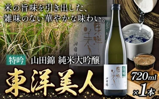 日本酒 新酒 東洋美人 特吟 山田錦 純米大吟醸 1本 720ml 福岡吟醸倶楽部株式会社《30日以内に出荷予定(土日祝除く)》福岡県 鞍手郡 鞍手町 酒 冷酒 送料無料---skr_gntybjn_30d_25_12000_720ml--- (管理コード:skr_gntybjn_30d_25_12000_720ml)