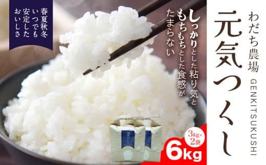 【令和7年度産】元気つくし 6kg 1袋3kg入り わだち農場《30日以内に出荷予定(土日祝除く)》福岡県 鞍手郡 鞍手町 米 コメ 元気つくし 袋 ちらし寿司 こめ---skr_ysmsgtk_30d_25_18000_6kg--- (管理コード:skr_ysmsgtk_30d_25_18000_6kg)