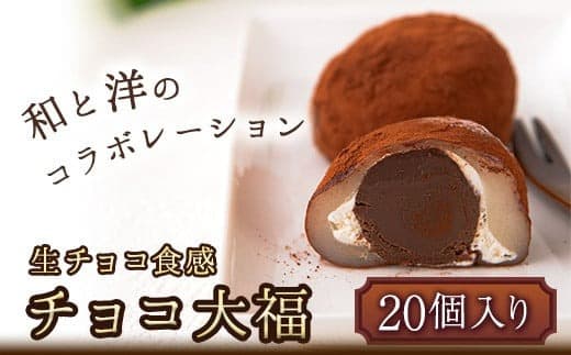 生チョコ食感 チョコ大福 20個 北九食品株式会社 《30日以内に出荷予定(土日祝除く)》大福 和菓子 スイーツ 鞍手郡---skr_fktkchodai_30d_22_13500_20i--- (管理コード:skr_fktkchodai_30d_22_13500_20i)