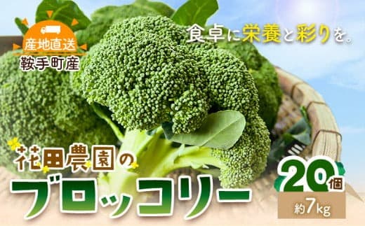 ブロッコリー 花田農園 の ブロッコリー 20個 花田農園 《11月下旬-3月末頃出荷》福岡県 鞍手町 ぶろっこりー 野菜 ブロッコリー 産地直送 送料無料---skr_chndbr_cf113_25_12000_7kg--- (管理コード:skr_chndbr_cf113_25_12000_7kg)