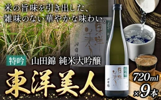 日本酒 新酒 東洋美人 特吟 山田錦 純米大吟醸 9本 計6480ml 1本あたり 720ml 福岡吟醸倶楽部株式会社《30日以内に出荷予定(土日祝除く)》福岡県 鞍手郡 鞍手町 酒 冷酒 送料無料---skr_gntybjn_30d_25_90000_9i--- (管理コード:skr_gntybjn_30d_25_90000_9i)