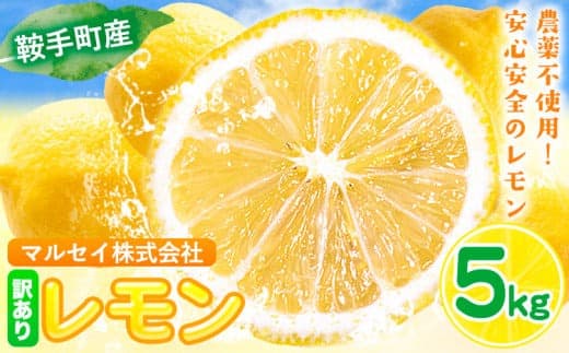 レモン 訳あり 5kg 株式会社まるせい農園《11月上旬-1月末頃出荷》レモン フルーツ スイーツ くだもの 果物 レモン果汁 ふるさと納税 福岡県 鞍手町---skr_mslm_11j1m_26_9000_5kg--- (管理コード:skr_mslm_11j1m_26_9000_5kg)