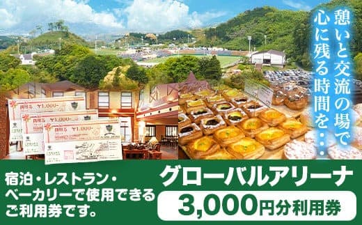 グローバルアリーナ 利用券 3000円分 株式会社グローバルアリーナ 《30日以内に出荷予定(土日祝除く)》GLOBAL ARENA 利用券 宿泊 スポーツ パン バイキング レストラン 食事 総合施設---iskr_gbaticket_30d_22_10000_1s--- (管理コード:iskr_gbaticket_30d_22_10000_1s)