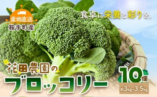 ブロッコリー 花田農園 の ブロッコリー 10個 花田農園 《11月下旬-3月末頃出荷》福岡県 鞍手町 ぶろっこりー 野菜 ブロッコリー 産地直送 送料無料--- skr_chndbr_cf113_25_8500_3kg--- (管理コード:skr_chndbr_cf113_25_8500_3kg)