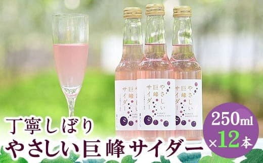 巨峰サイダー 250ml×12本《30日以内に出荷予定(土日祝除く)》ぶどう フルーツ サイダー 飲料---skr_jakyohosd_30d_22_12400_12p--- (管理コード:skr_jakyohosd_30d_22_12400_12p)